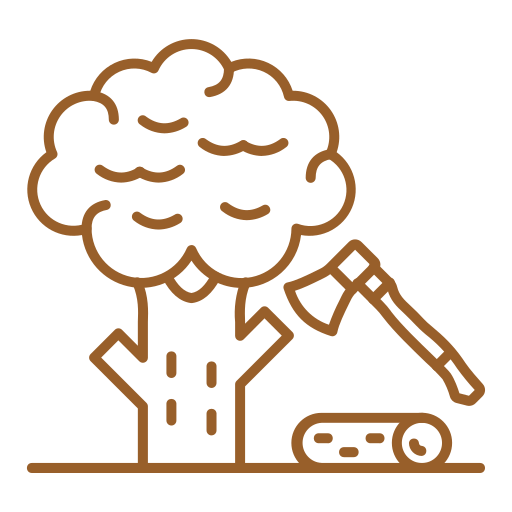 NG GARDEN | abattage-darbres (1) abattage-darbres (1)