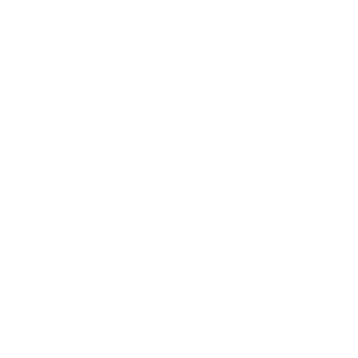 cone-de-signalisation