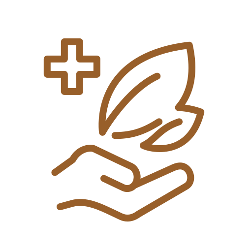 NG GARDEN | medecine-vegetale (1) medecine-vegetale (1)