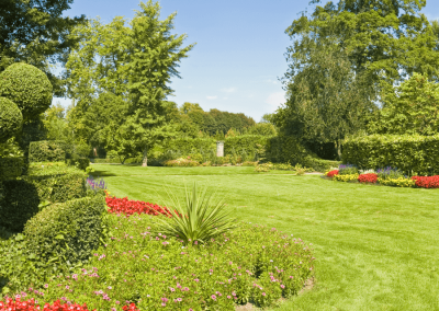 NG GARDEN | ng-garden-gallery-4