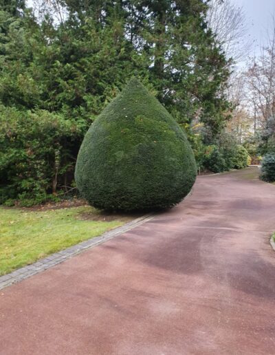 0bf926f6 4b31 499d 810a D92d62cca061