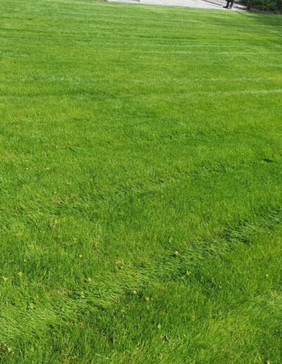 13487216 4ce0 48bf Aeb5 Df3c2e738f2f