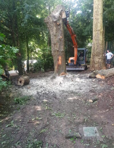 1609b0b3 B9ac 4348 94ca 67abeeb6d830