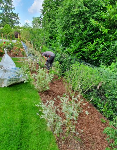 1fb2e2c5 7838 48fe 937f 7f99727a9604