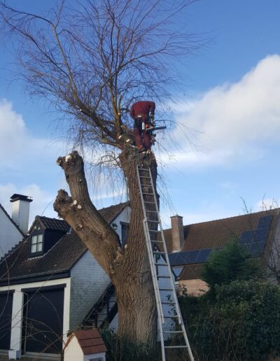 22ff5ef6 3c86 4524 Ac22 2f782ff42c4a