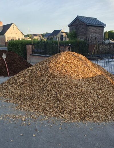 32af056d 4a54 4d53 804d 12590124caf8