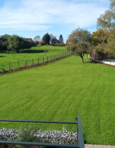 3b32bea5 D57d 4675 A29b F559005d0d59