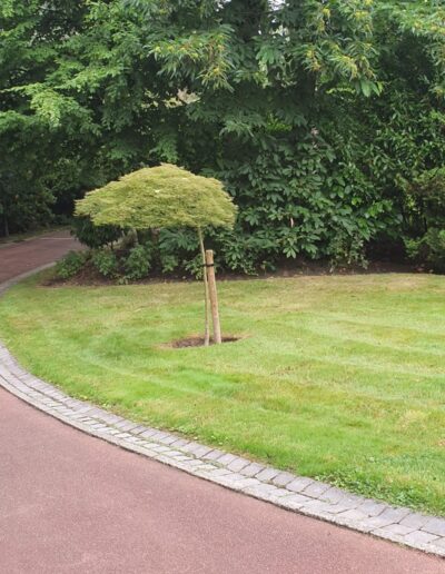 3e191199 88e7 489c 8653 9b93ddf09e77