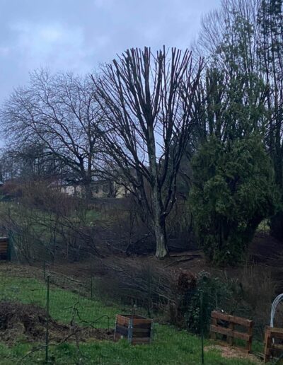 4015a216 236a 4e25 Ba4a 4ed7c098c269