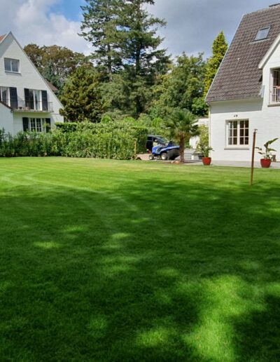 443af87e 8b9d 4d9e 89cb Fdb5159a4432