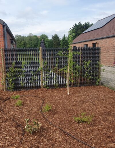 4e425370 Eea6 4fb9 A38e Ff218c23d072