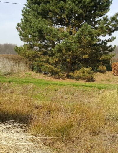 51cc1f1a 40aa 4e77 A5e4 0b3d278af036