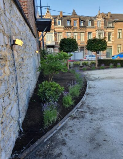 5c6e07db 7d45 4ef0 859b 6b1878ca4106