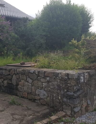 5e19c633 Ffed 4d18 Bab4 Ee3998b5c570