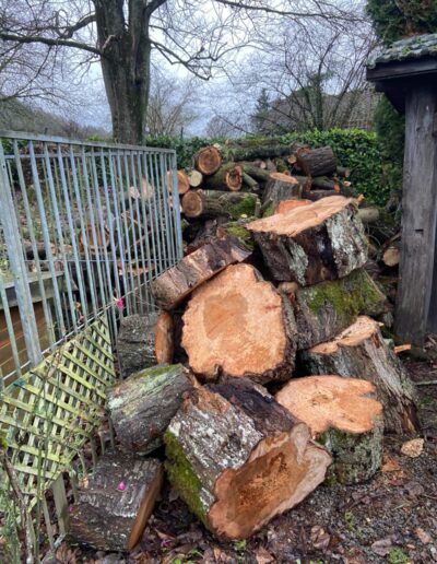 5f6f8c80 2253 430e 9a04 0702c5dbb4f2