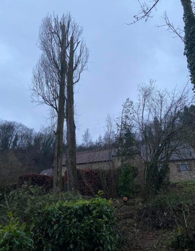 696a8c3b C4b0 468d 9e51 80ad1044e5f5