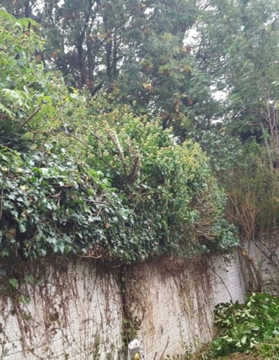 6cd62a73 8c36 41c6 A870 94258e41523f