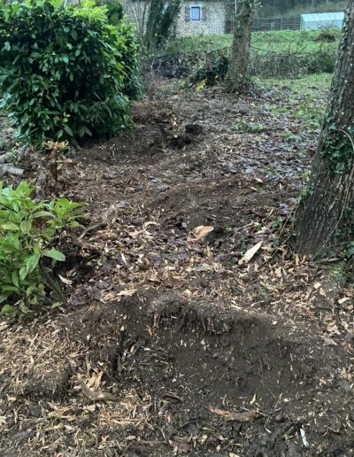 73000a94 B0b5 4877 Ab4b 7539e528d2bd