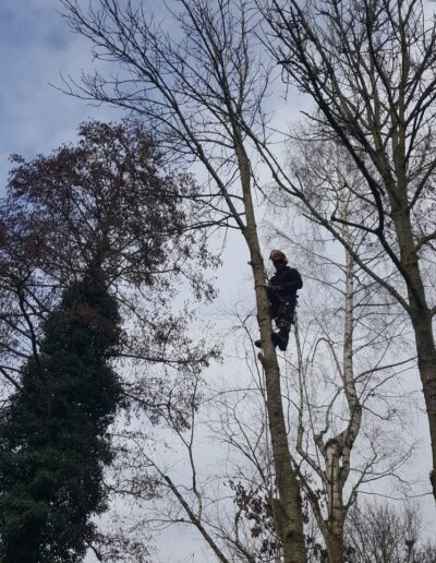 748a9871 648c 42fd A049 Ff9c39826eb5