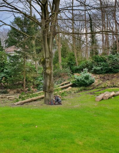 80d64680 9864 43e2 Bd90 A4e8b6a012a0