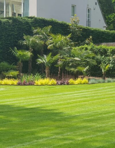 A57b3142 D459 42f0 Ad94 068c51b804bc