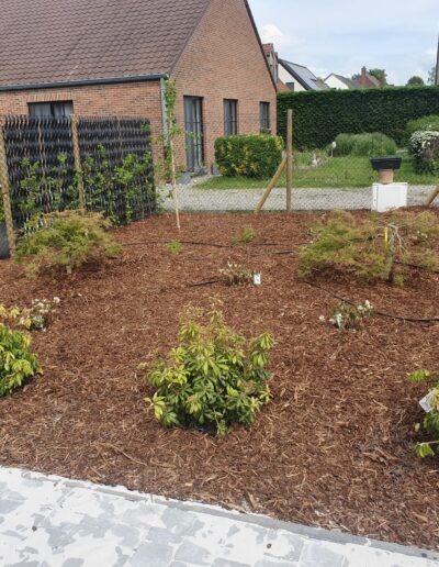 B06a5c6b 9a5b 4c13 81ef 9463fe86accd