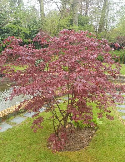 B0a11516 3a3d 41c5 95e7 207e80c66b2e