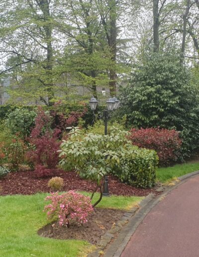 Bd1ec4cc Be50 4b26 83e7 0f79e3d84e21