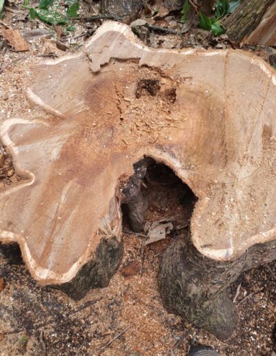 C8f188ea 7370 4140 9406 424bbd83781a