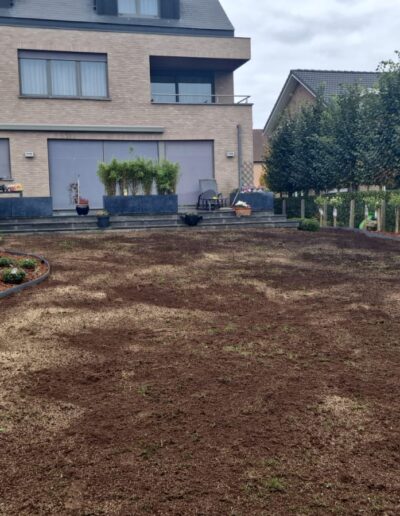 D4ab9753 Ccc5 4e33 8bdf 730560a9d318