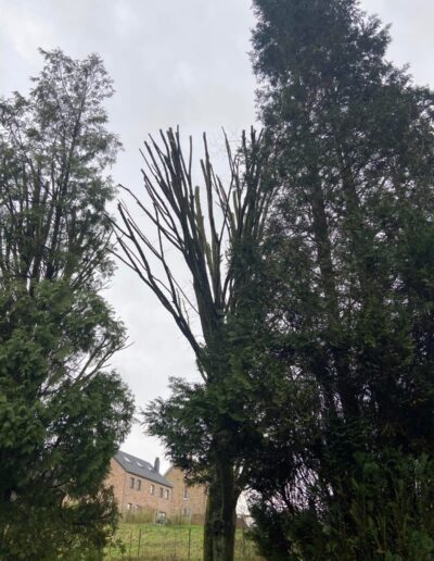 E69d8a47 15e0 491f 9d5e E35d37bca756