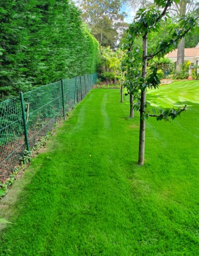 F353878b Fbf5 4d8b A6cb 36499c27c8f7