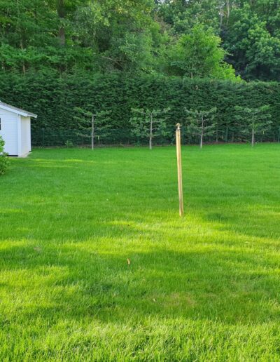 Fbadca10 5a07 465a 81f9 0bb30e8c016c