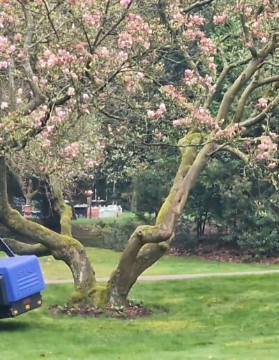 Whatsapp Image 2026 04 02 At 09.40.37